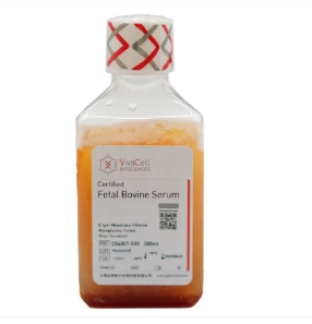 Xiaopeng Biological Premium Fetal Bovine Serum